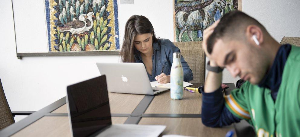 Students studying for finals