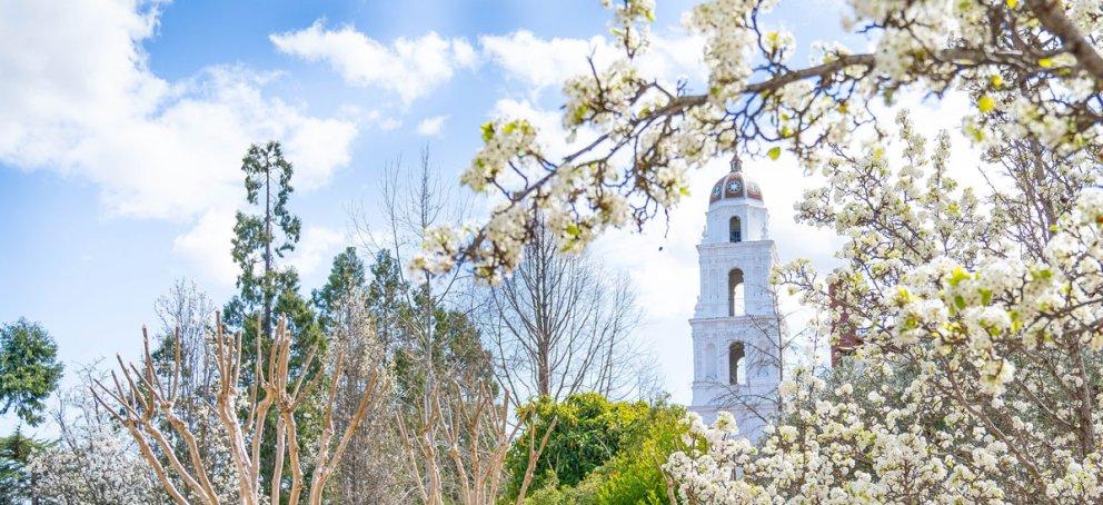 Saint Mary's College Chapel in the Spring